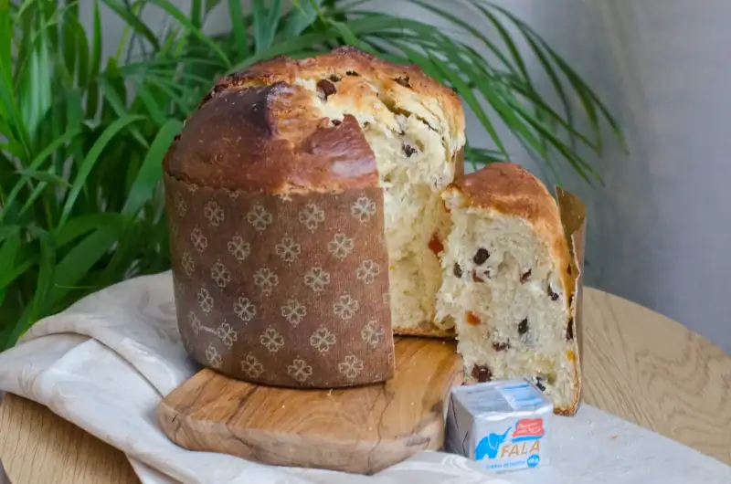 Domáce panettone