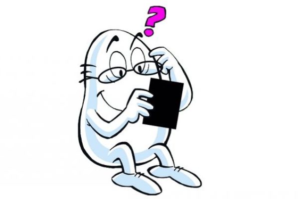 maskot-e1532425885842